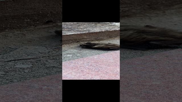 13-05-2023