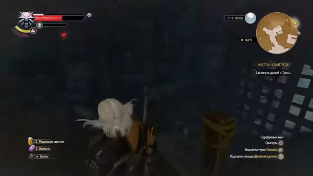 The Witcher Wild Hunt #8 Интересные приключения по пути к миссии.