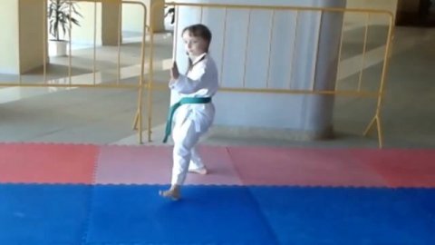 Как научиться в домашних условиях делать ( Heian Shodan) Карате это самооборона