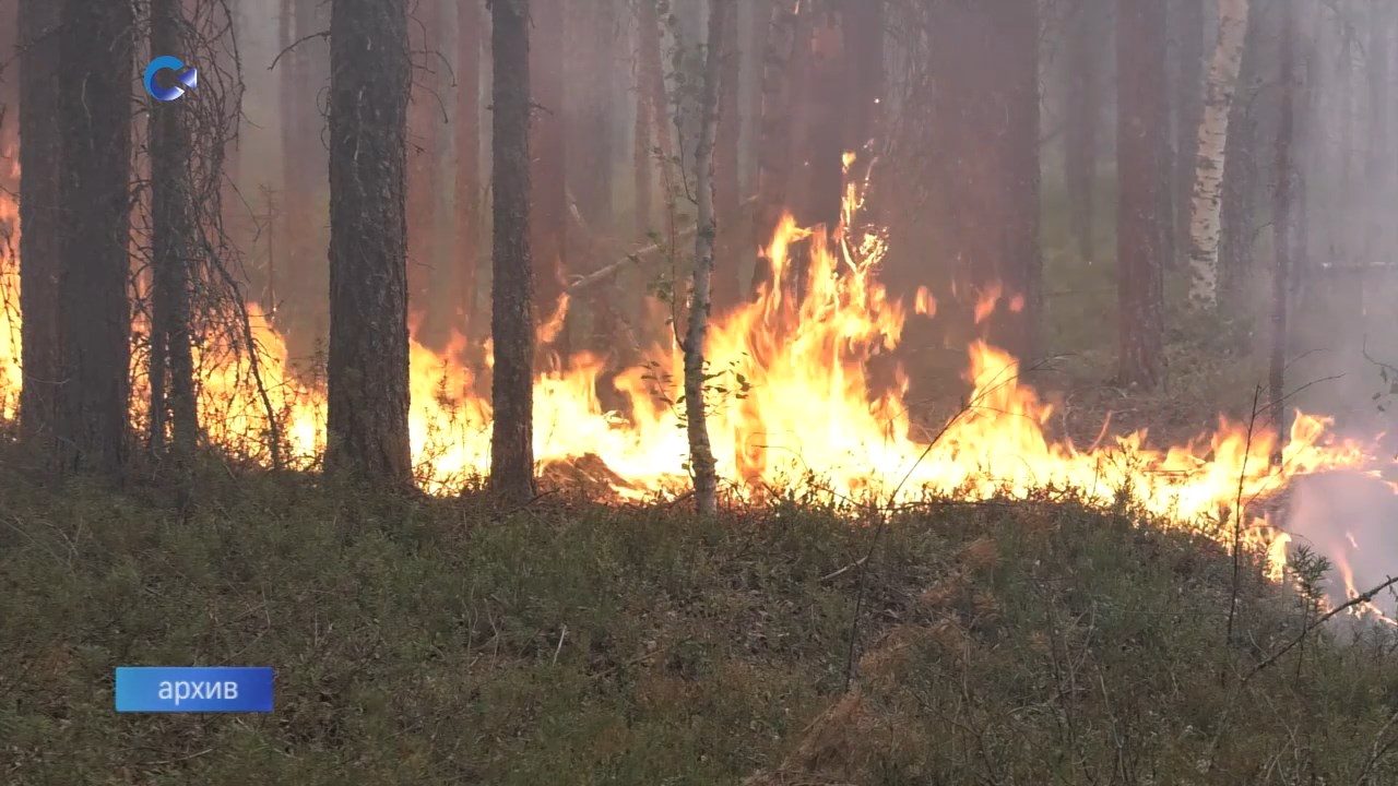 Пожары в Карелии продолжаются