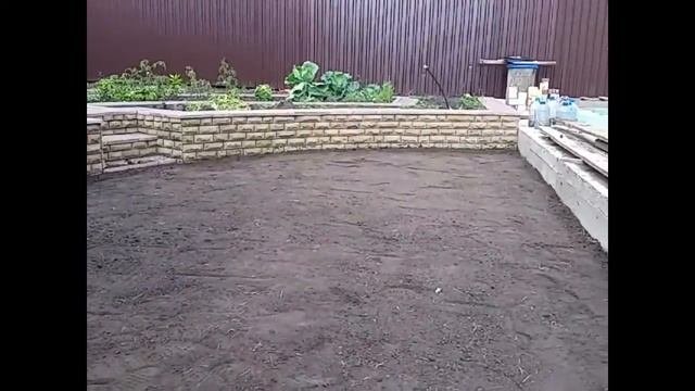 Посев газона