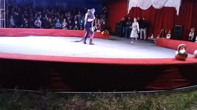 Тигровый питон