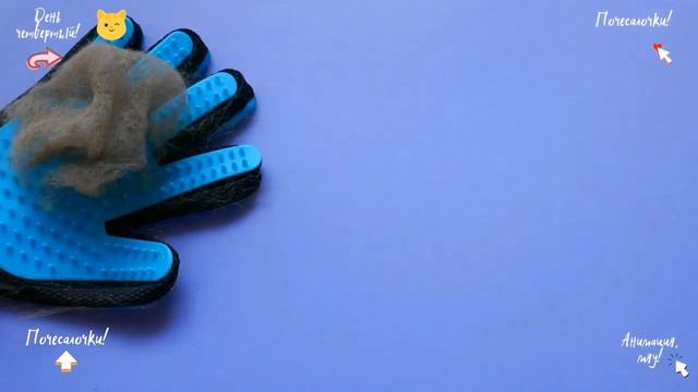 Эксперимент!Вычесываем кошку! Сколько шерсти можно вычесать из кошки за неделю. Стоп-моушен