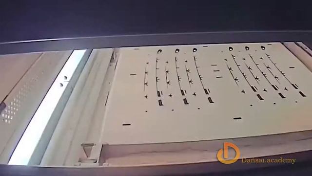 "3D ОҢАЙ" - Тұңғыш қазақша 3D Моделдеу курсы.