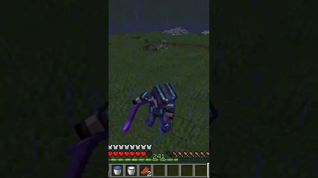 Minecraft survival