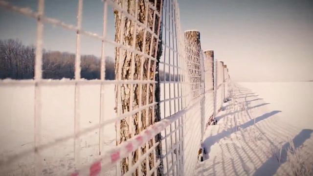 Белгородские лани