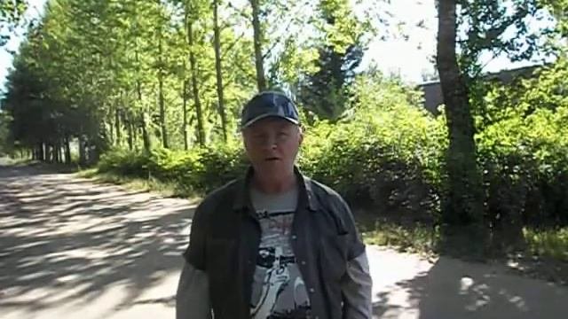 Аленький цветочек