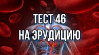 Тест на проверку эрудиции 46