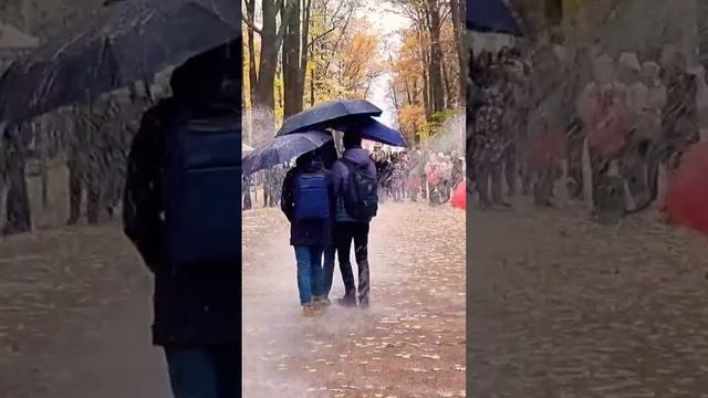 Осенний Петергоф ❗