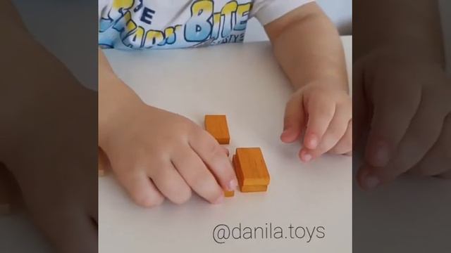 Деревянное домино Domino Race