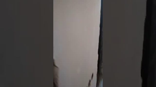 Сантехкабина обзор