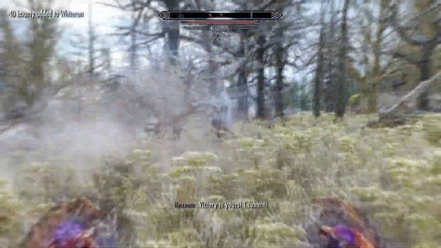 Day 394 - Killing Nazeem Every Day Until Elder Scrolls 6 is Released