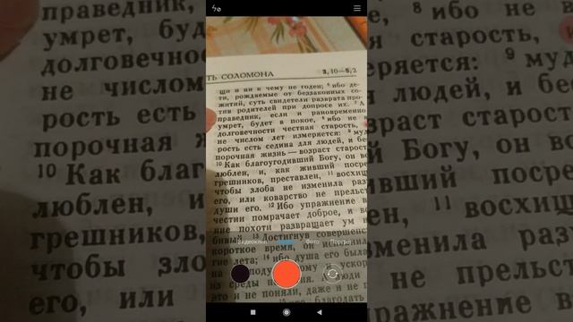 Плод беззаконников ?????