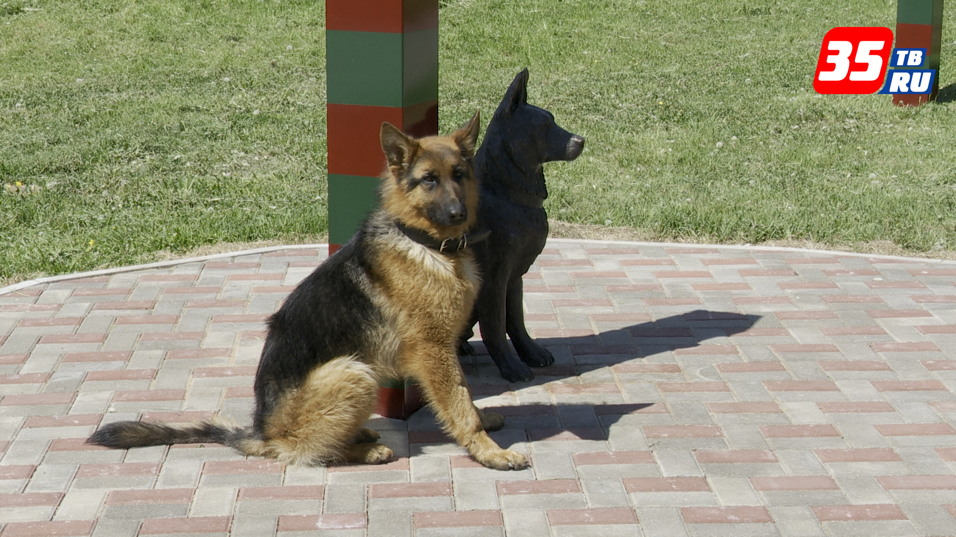 Памятник собакам-защитникам открыли в День Пограничника в Череповце
