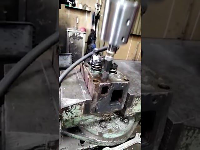 WhatsApp Video 2023 01 20 at 01 36 12 3