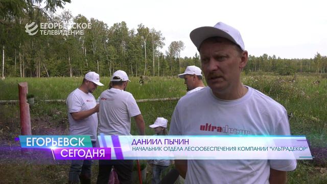 Сохраним лес вместе! В такой акции приняли участие сотрудники егорьевского предприятия «Ультрадекор»