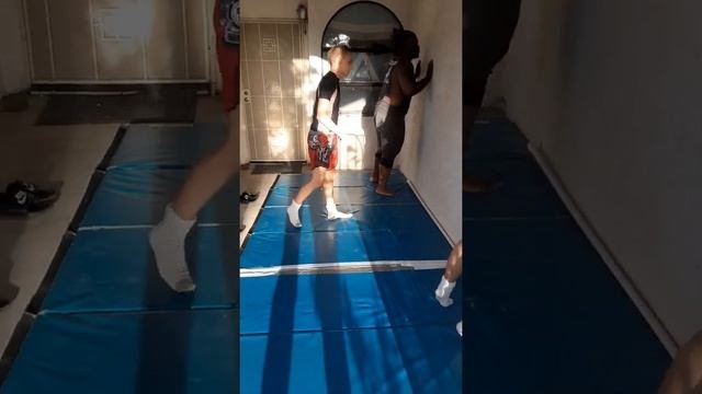 Josh The Lion Presents Wall Drills 2