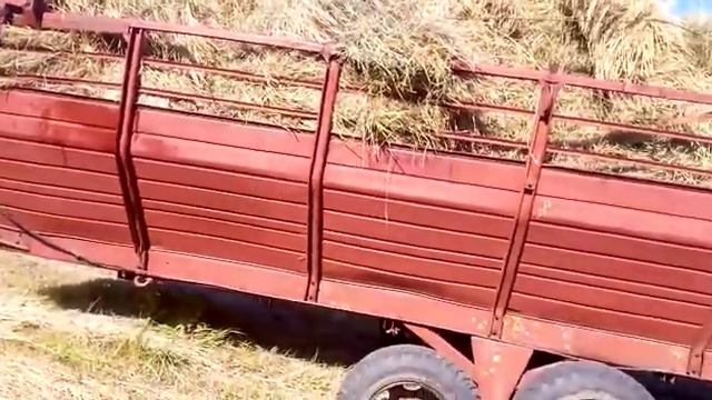 Сколько набивается сена.