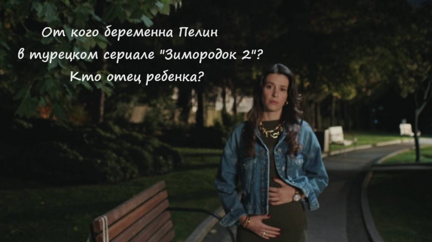 От кого беременна Пелин в турецком сериале "Зимородок 2"? Кто отец ребенка?