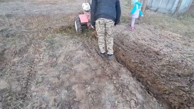 осенняя вспашка мотоблоком.утоптанной почвы часть 1