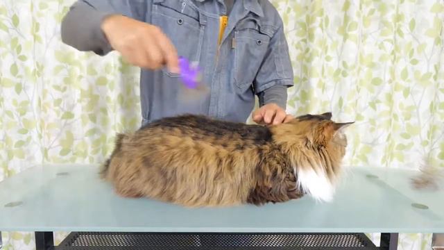 Инструмент для профессиональной очистки шерсти (фурминатор) у кошек и собак