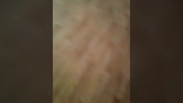 Пол урока без училки?