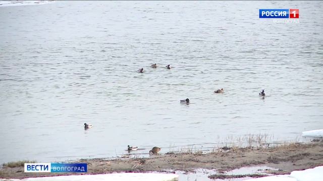 Путешественник по городам-миллионникам посетил Волгоград