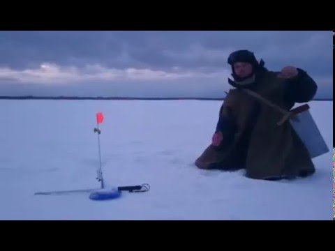 Щука собрала жерлицы