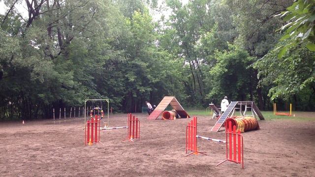 Даша и Эффи аджилити