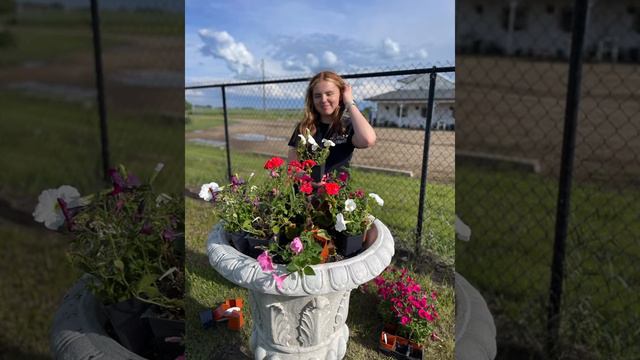 Planting Tutorial: Giant Urns along Deb’s Driveway