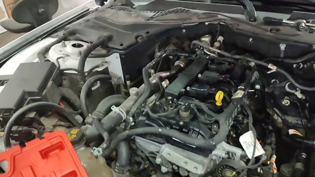 Ford Mustang 2015гв 2.3 ecoboost Чистка форсунок прямого впрыска.