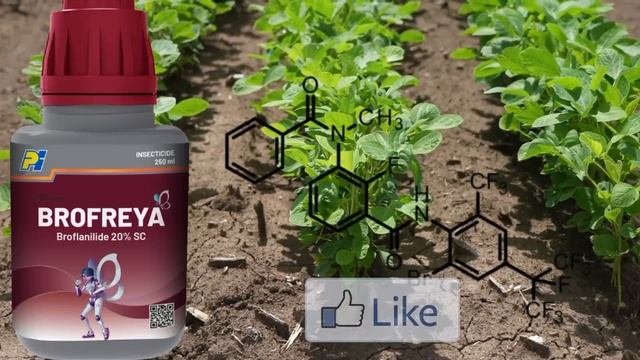 brofreya insecticide pi  brofreyabrofreya 20 sc insecticidebroflanilidebro freya insecticide