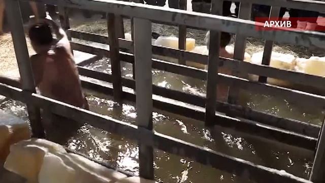 Окунаться в прорубь на Крещение  церковный канон или народная традиция?