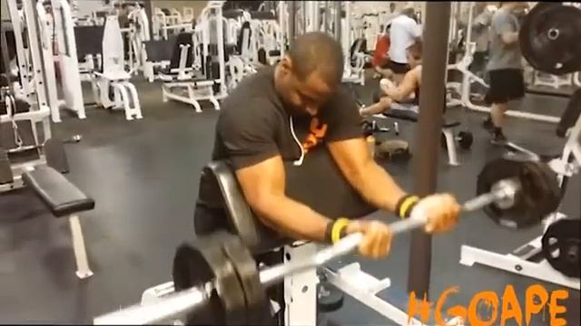 Gorilla Gainz Fitness Chest and Biceps Training Session #GoApe #GorillaGainz