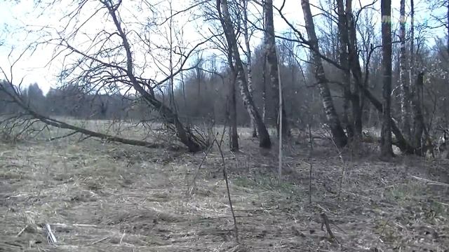 129/Коп на старой деревушке.