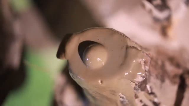 Рождение колокола  Завод ЛИТЭКС