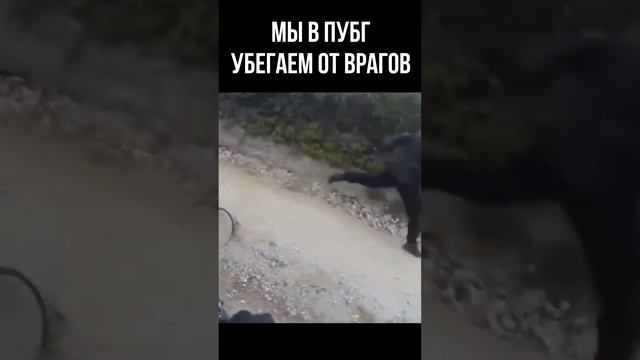 ЗАЧЕМ СРАЖАТЬСЯ? #game #pubg #battleground #пубг #игры #мем #memes