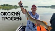Проклятие снято! Щука с судаком объявились. Путешествие на Оку. Часть 2.