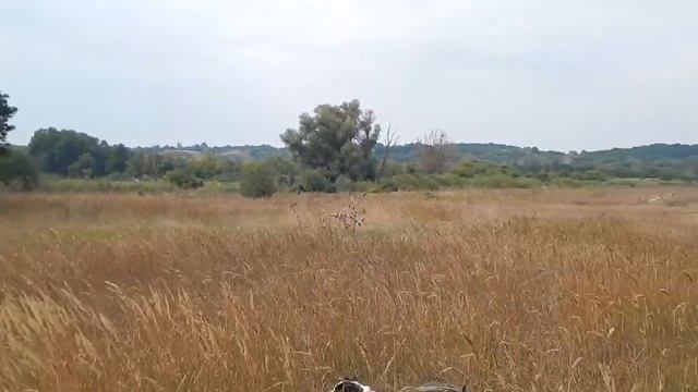 Легеды Долины Солнца где жил мудрец Лама село Хорошки Лубенский район