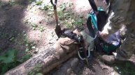 Разборный Minelab Equinox, Чехол на лопату, Наушники, Рюкзак и другое снаряжение Андрея!