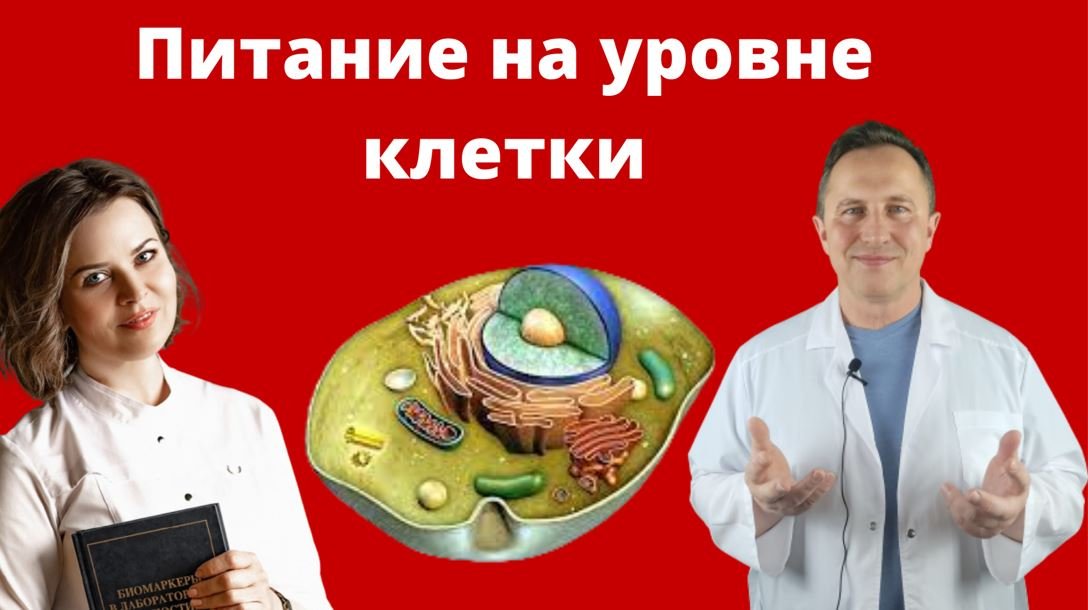 Питание на уровне клетки.  Беседа доктора Алексея Штаба и доктора Татьяны Притыкиной.