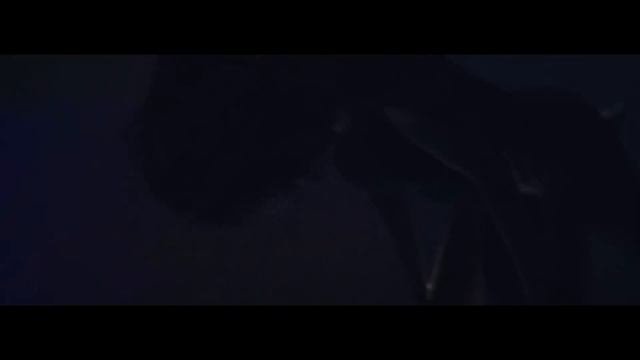 Royal Republic - Like A Lover Official Video