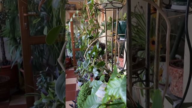 Приглашаю на наши пятничные посиделки! Встреча состоится!