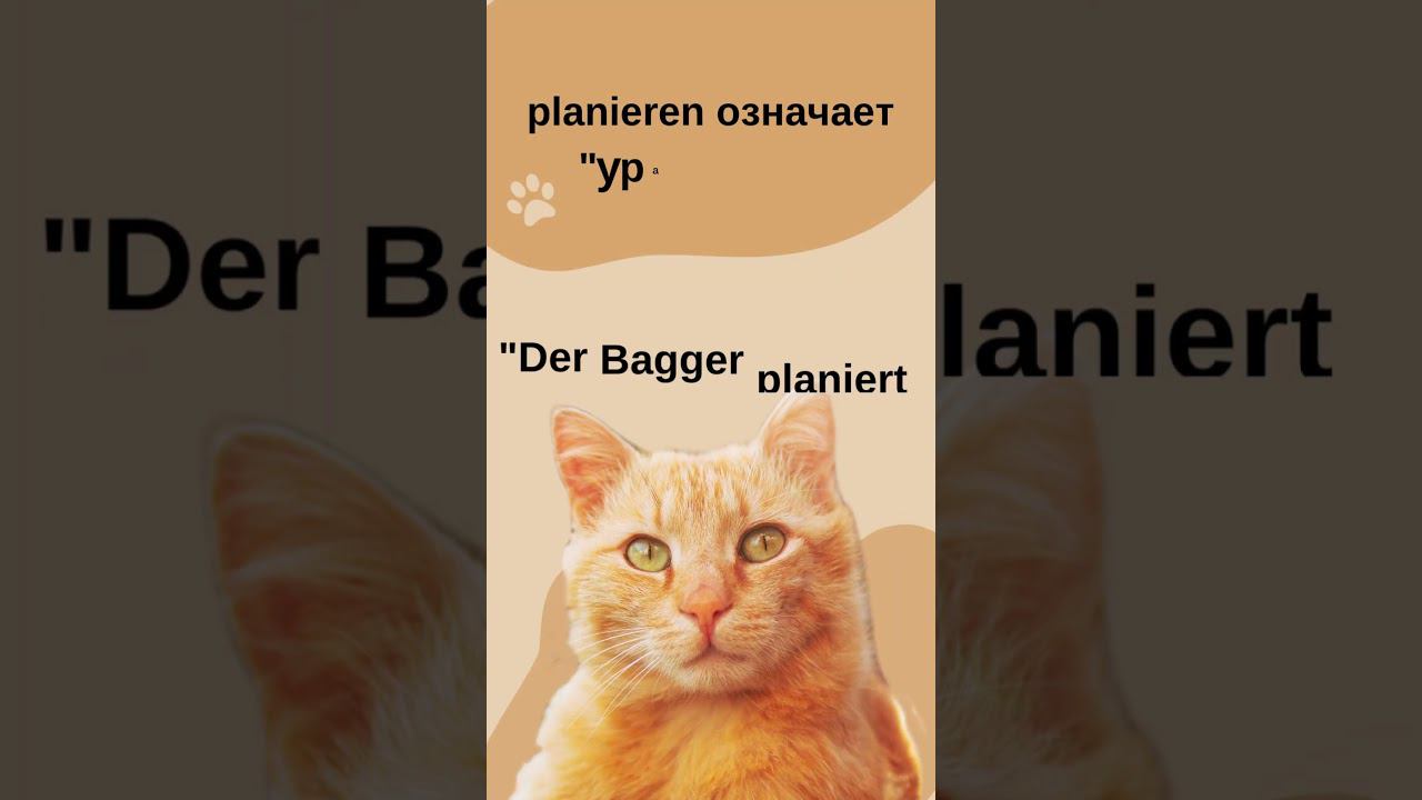 Planen oder planieren? Немецкий язык на speakASAP®.