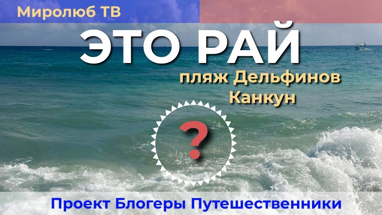 5 причин популярности пляжа Дельфинов в Канкуне на Миролюб ТВ