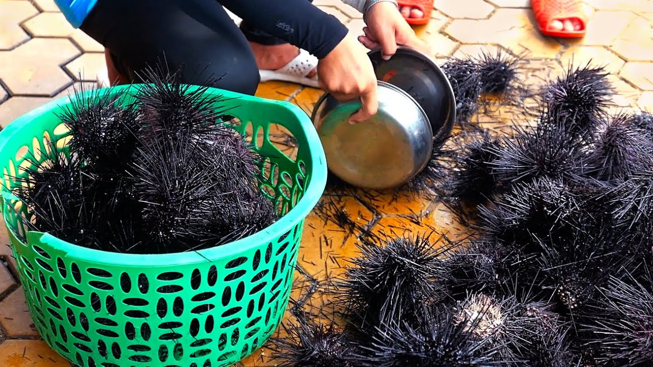 Вьетнамская уличная еда - Черный Морской Еж и Перепелиные Яйца Барбекю морепродукты Вьетнам