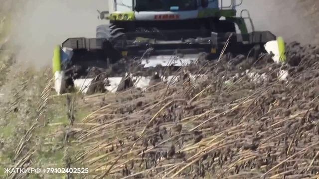 Жатка подсолнечника для сложной уборки Моресиль