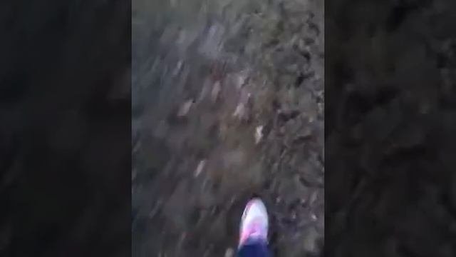 козьи какашки:D