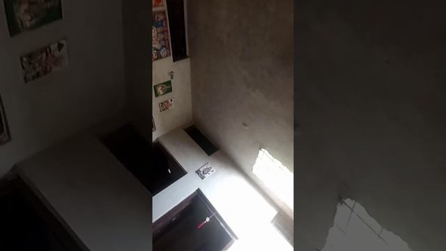 le le ai cocola 2