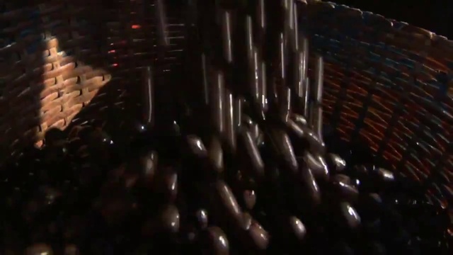 MonaVie Event Video HD)